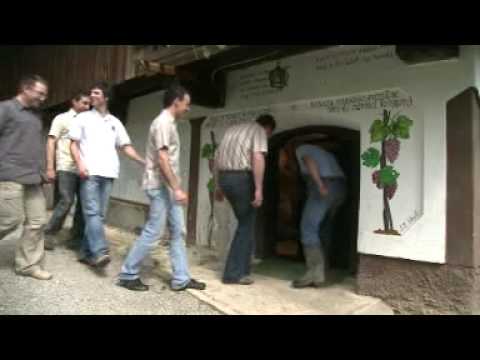 Ansambel Spev Glas harmonike