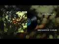 Pink Floyd - When You're In (Official Audio)