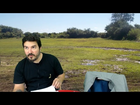 Transmissão ao vivo de Luiz Hygino