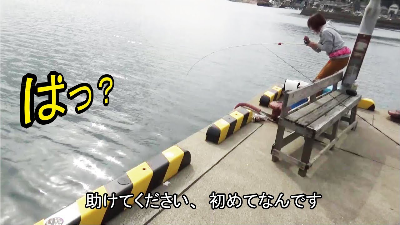 漁港の角から特大モンスターと遭遇ゆるしてね