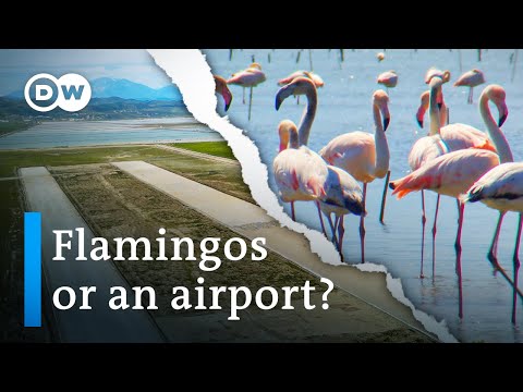 Natural Paradise Under Threat in Albania: Will the Lagoon Be Saved?