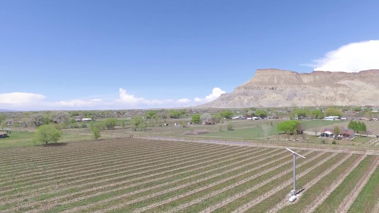 Video: DJI 0134