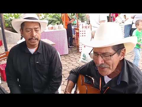 Swing parrandero  de Betania Antioquia 