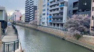 [ラジオ]Screen of Life #47「後半、映画『哀愁しんでれら』についてしゃべりました」