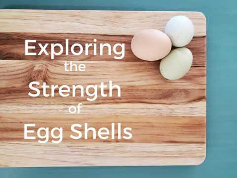 Embryology in the Classroom - Egg Shell Strength Experiments