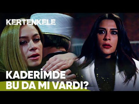 Murat, Zeynep'i değil Didem'i seçti - Kertenkele 83. Bölüm