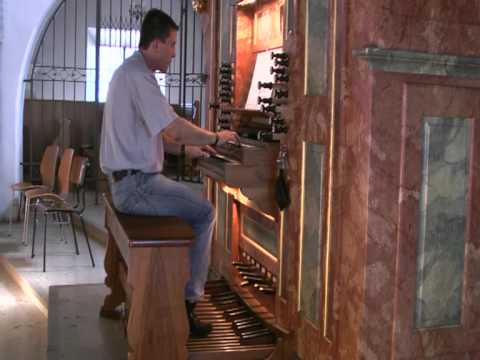 Orgel/Organ  -  Joseph-Hector Fiocco  -  Andante