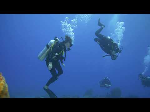 Dive Site "Paradise Reef", Cozumel, Mexico