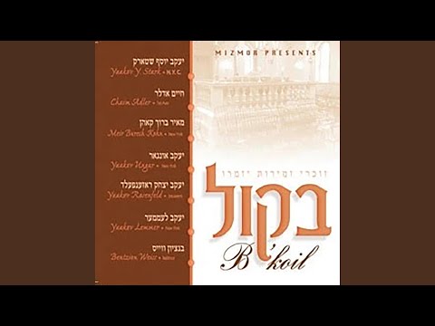 Meloch Al Kol Haolam (feat. Mayer Boruch Kohn)