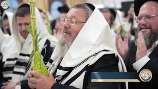 🎶🌿 תפילת הלל לחול המועד סוכות | שירים וניגונים בבית הכנסת "בית השם" ✨ (ארגון קול הלשון) - התמונה מוצגת ישירות מתוך אתר האינטרנט יוטיוב. זכויות היוצרים בתמונה שייכות ליוצרה. קישור קרדיט למקור התוכן נמצא בתוך דף הסרטון 🎶🌿 תפילת הלל לחול המועד סוכות | שירים וניגונים בבית הכנסת "בית השם" ✨ (ארגון קול הלשון) - התמונה מוצגת ישירות מתוך אתר האינטרנט יוטיוב. זכויות היוצרים בתמונה שייכות ליוצרה. קישור קרדיט למקור התוכן נמצא בתוך דף הסרטון