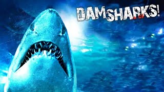 Dam sharks  Music Video 