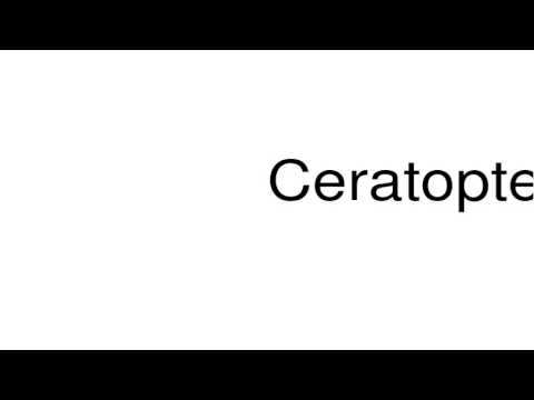How to pronounce Ceratopteris