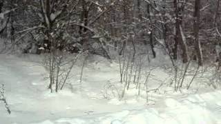 preview picture of video 'Novi Grad /Bosanski Novi - Tabla, februar 2012'