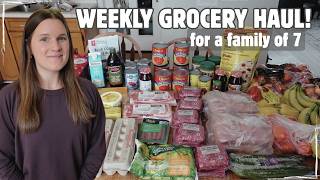 LARGE FAMILY GROCERY HAUL & MEAL PLAN | Feeding a big family on a budget