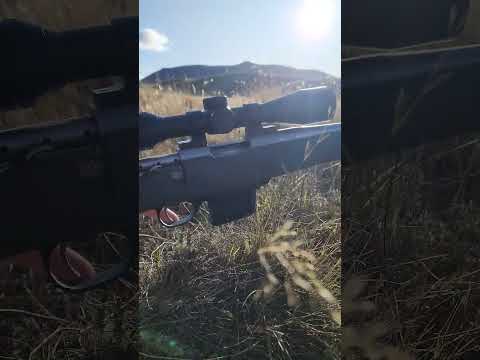 Howa Mini 1500 #rifle #hunting #shooting #gun