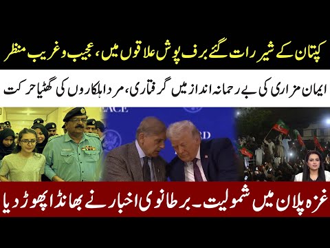 Imran Khan Lions Shocked Everyone l Eman Mazari Arrested l Gaza Plan Reveal By British Journalist