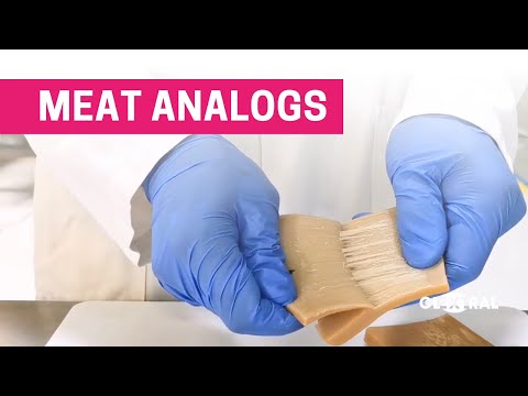 Plant-Based Protein Fibration : Twin-Screw Extrusion for Meat Analogs