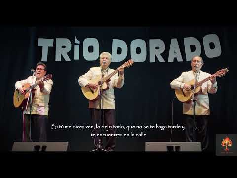 Trío Dorado — Si tú me dices ven