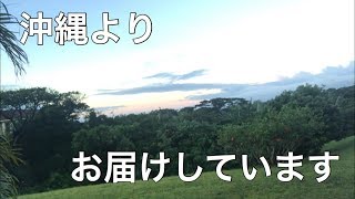 認知症を本当に理解するには?