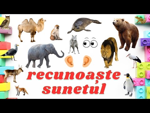 Recunoaste sunetul animalelor - Joaca acasa sau la gradinita!