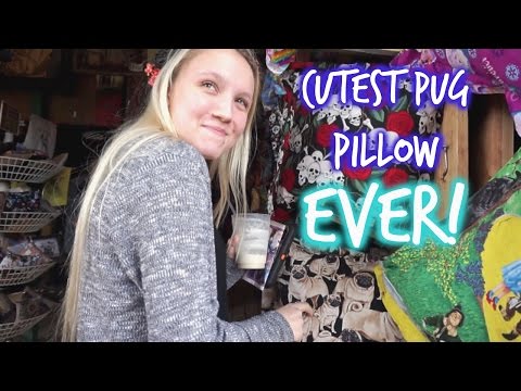 Weekly Vlog│CUTEST PUG PILLOW EVER!! Video