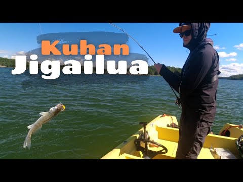 Kuhaa ja ahventa [ Kuhan ja ahvenen jigailua merellä ]