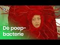 De poepbacterie | Onzichtbare Huisdieren