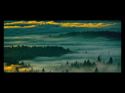 Bill Evans - Podcast - Der Chopin des Jazz-Pianos, WDR3 Giant Steps in Jazz 2021