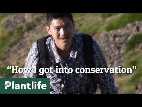 How I got into Conservation, with Plantlife Trustee, Hien Luong