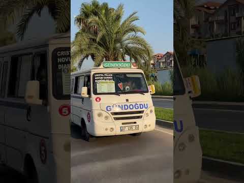 Exploring Turkey’s Cool Dolmuş! 🚐✨