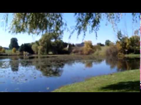 Huff Lake in Highland MI - Call Russ at  313-310-9855 - Huff Lake Real Estate