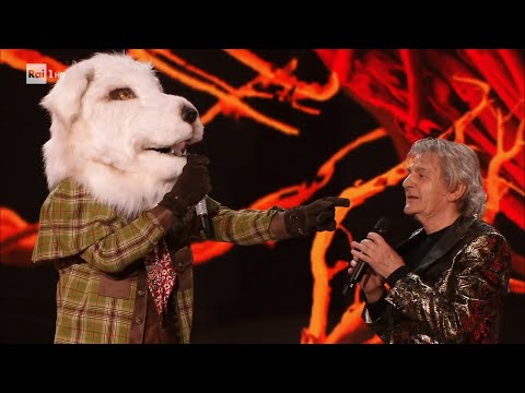 Pastore Maremmano canta "Mi manchi" con Fausto Leali - Il Cantante Mascherato 11/02/2022