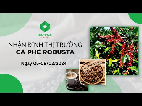 Nhận Định Thị Trường - Cà phê Robusta (Ngày 05-09/02/2024)