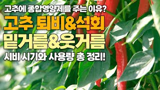 고추 농사 퇴비 석회 비료 사용법, 사용량, 처리 시기 총정리!  비료 전문가에게 배우다