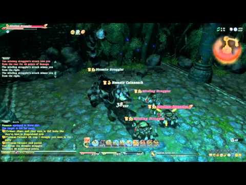 FFXIV - WHM level 30 job quest battle