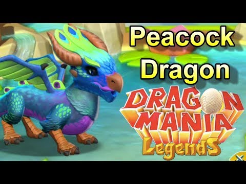 How to Breed the PEACOCK DRAGON! DML DOTW Breeding Guide (Aug 28th - Sep 4th)