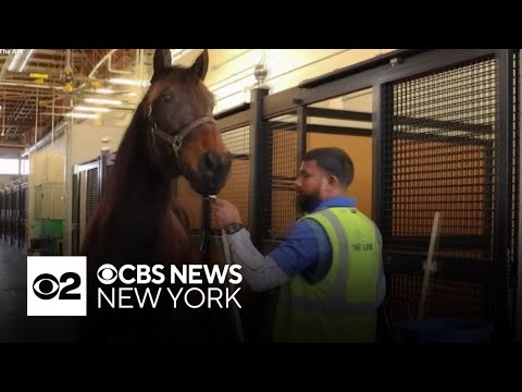 Behind the scenes of JFK Airport's animal transportation hub