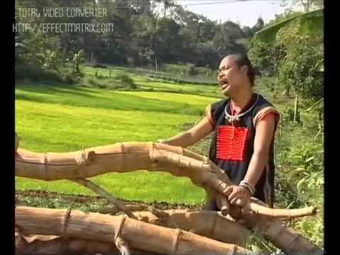 Chim phí bay về cội nguồn - Ymoan