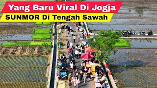 Download lagu YANG BARU VIRAL DI YOGYAKARTA SUNMOR NGIJON DI TENGAH SAWAH | KULINER JOGJA TERBARU 2026 mp3