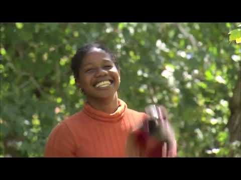 Alcolin Hi  Tack Carpet and Vinyl Adhesive