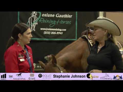 NRHA Derby 2017 – Stephanie Johnson