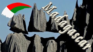 🐒 Journey in Madagascar