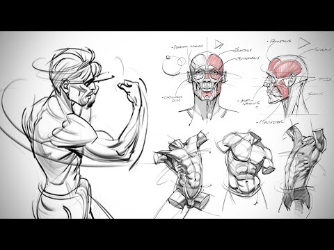 Anatomy Demo with Josh Black