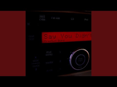 Say You Didnt - Trenton Burd