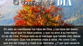 Miniatura del video: El versiculo del dia .com - 1 Juan 3 v10-12