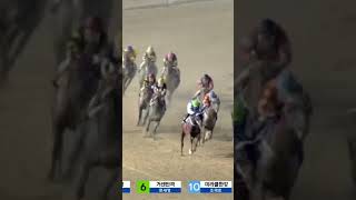 복연승19배적중