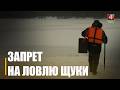 З 1 сакавіка па 15 красавіка на Гомельшчыне дзейнічае забарона на лоўлю шчупака з-за нерасту