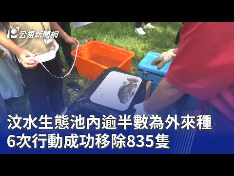youtube影片