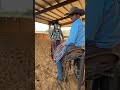 Is the Patriot a good rope! Great for beginners! #ranchlife