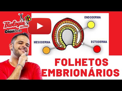 FOLHETOS EMBRIONÁRIOS - EMBRIOLOGIA